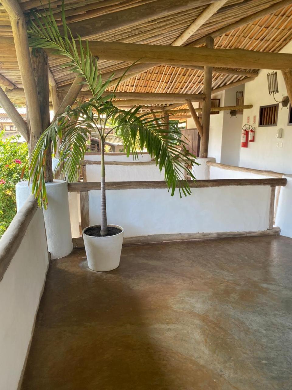 Estalagem Farol Tartarugas